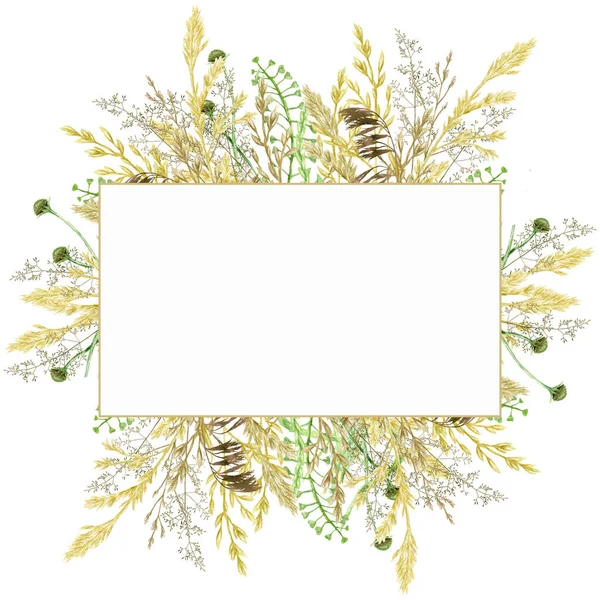 Watercolor greenery frame, Floral grass wreath. Hand drawn wild meadow herbs floral Botanical illustration isolated on white background, greeting card label border with copy space for text — Stock Photo, Image
