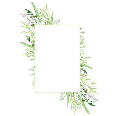 Sulu yeşil çimen çerçeve, yabani çayır yeşillik çizimi, tahıl gevreği yabani bitkileri, çiçekli el çizimi bahar mevsimi doğal otlar beyaz arkaplan üzerinde izole edilmiş metin alanı