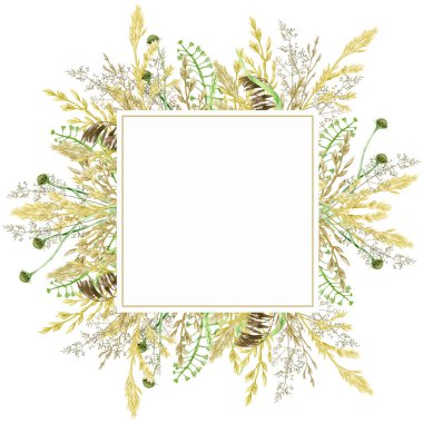 Suluboya yeşillik çerçevesi, çiçek çelengi. El çizimi yabani çayır otları beyaz arkaplanda izole edilmiş çiçek botanik illüstrasyonu, metin için metin alanı ile tebrik kartı kenarlığı