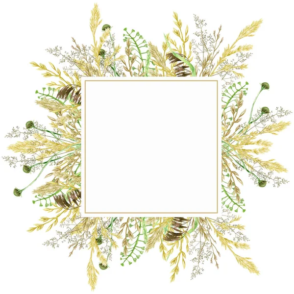 Suluboya yeşillik çerçevesi, çiçek çelengi. El çizimi yabani çayır otları beyaz arkaplanda izole edilmiş çiçek botanik illüstrasyonu, metin için metin alanı ile tebrik kartı kenarlığı