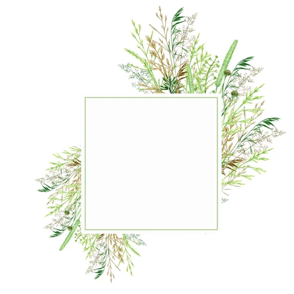 Acquerello cornice verde erba bordo, prato selvatico a base di erbe verde illustrazione, cereali piante selvatiche, floreale disegnato a mano primavera estate erbe naturali isolate su sfondo bianco con spazio copia per il testo — Foto Stock