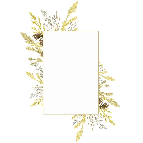 Watercolor greenery frame, Floral grass wreath. Hand drawn wild meadow herbs floral Botanical illustration isolated on white background, greeting card label border with copy space for text — 스톡 사진