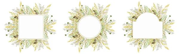 Watercolor greenery frame set, Floral grass wreath. Hand drawn wild meadow herbs floral Botanical illustration isolated on white background, greeting card Round border with copy space for text — Stockfoto