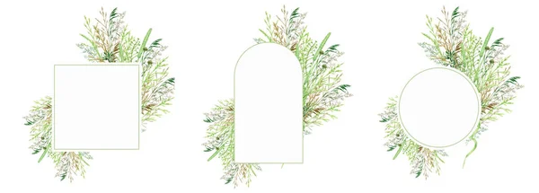 Akvarell grönska ram, blommigt gräs krans. Handritade vilda äng örter blommig botanisk illustration isolerad på vit bakgrund, gratulationskort oval kant med kopia utrymme för text — Stockfoto