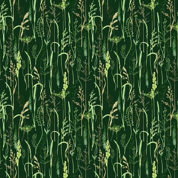 Υδατογραφία πράσινο γρασίδι αδιάλειπτη μοτίβο, άγριο λιβάδι φυτικό πράσινο απεικόνιση, δημητριακά άγρια φυτά, floral χέρι που άνοιξη καλοκαίρι φυσικά βότανα beckground. Χωρίς ραφή υφασμάτινη υφή — Φωτογραφία Αρχείου