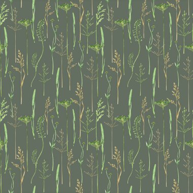Sulu yeşil çimenler, dikişsiz sınır deseni, yabani çayır bitkileri yeşillik çizimi, mısır gevreği yabani bitkiler, çiçekli el çizimi bahar mevsimi beyaz arka planda izole edilmiş doğal otlar..
