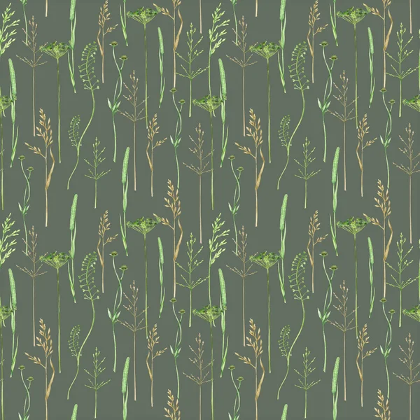 Watercolor Green Grass Seamless Border Pattern Wild Meadow Herbal Greenery — Fotografie, imagine de stoc