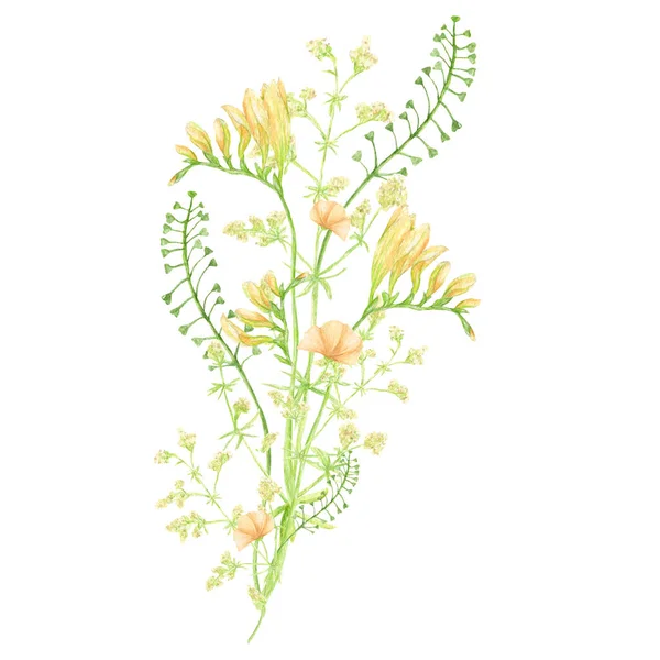 Suluboya Yabani Çayır Buketi Yeşil Bitkisel Kompozisyon Çizimi Tahıl Gevreği — Stok fotoğraf