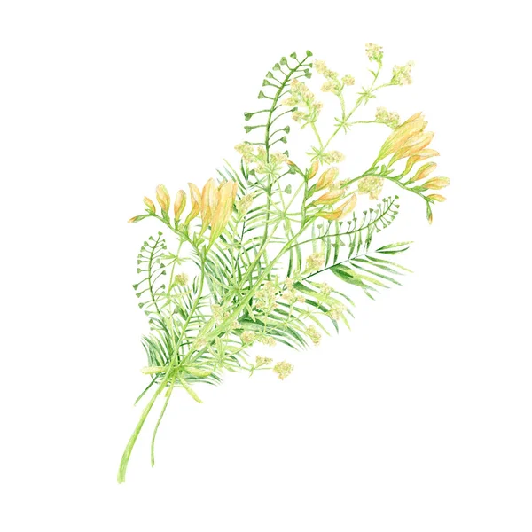 Aquarell Wilder Wiesenstrauß Grüne Kräuterzusammensetzung Illustration Getreide Wildpflanzen Blumen Handgezeichnet — Stockfoto