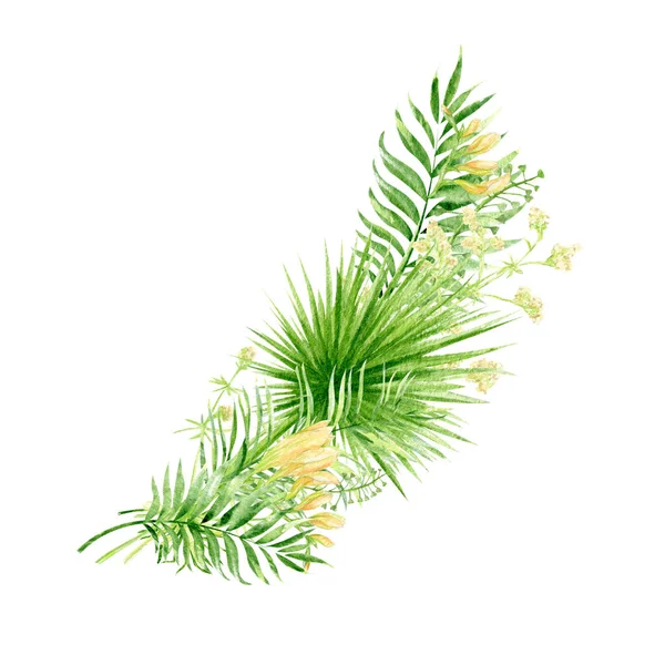 Aquarell Tropische Wilde Wiese Strauß Grüne Kräuterzusammensetzung Illustration Getreide Wildpflanzen — Stockfoto