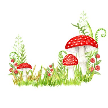 Amanita muscaria watercolor, Fly agaric mushroom with grass. White spotted toxic red mushrooms. Hand drawn Illustration on white background