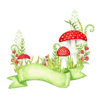 Amanita muscaria suluboya kurdele pankartıyla, çimenli uçucu agarik mantar. Beyaz benekli kırmızı mantarlar. Beyaz arkaplanda el çizimi