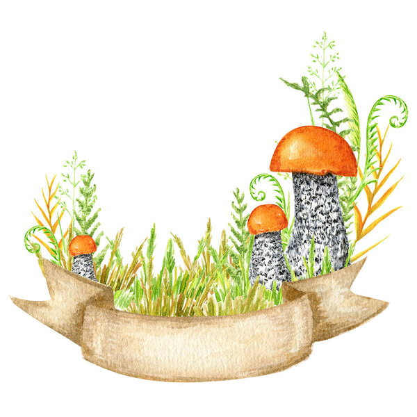 Boletus mushrooms watercolor, big mushroom with grass, spongy mushroom ribbon banner, vegetarian gourmet cuisine, autumn mushrooms hand drawn illustration isolated on white background.