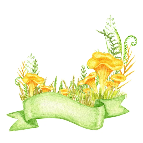 Watercolor Chanterelle Mushroom Grass Ribbon Banner Hand Drawn Illustration Isolated — стоковое фото