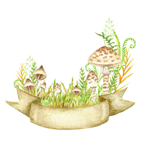 Poisonous mushrooms watercolor, toadstool, inedible toxic mushroom with ribbon banner, fly agaric, white toadstool. Isolated hand drawn illustration on a white background.