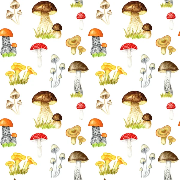 Watercolor Mushrooms Seamless Pattern Hand Illustration Creating Fabrics Wallpapers Gift — Stockfoto