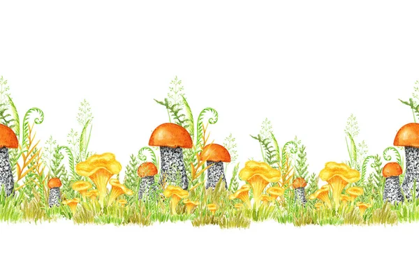 Boletus Watercolor Seamless Border Mushroom Grass Spongy Mushroom Vegetarian Gourmet — Stockfoto