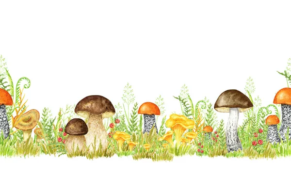 Boletus Watercolor Seamless Border Mushroom Grass Spongy Mushroom Vegetarian Gourmet — Stock Photo, Image