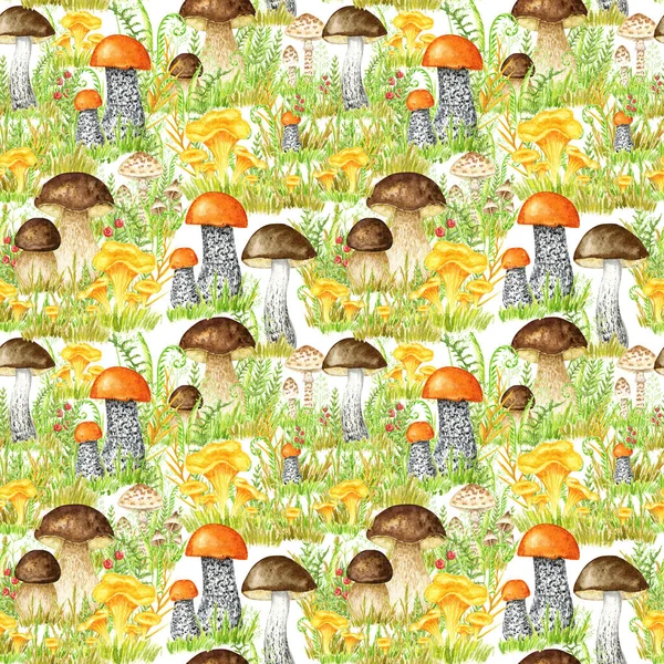 Autumn Watercolor Mushrooms Seamless Pattern Fall Hand Drawn Illustration Creating — Foto Stock