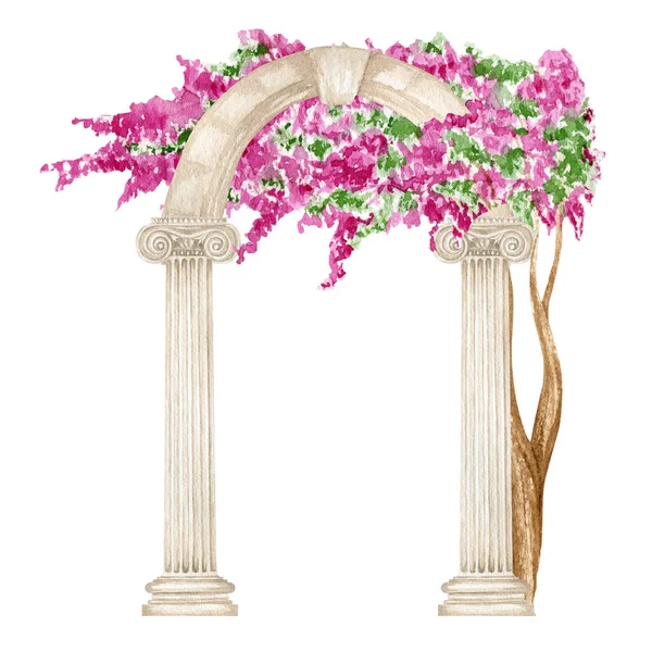 Watercolor antique arch column ionic order with bright pink flowers, Ancient Classic Greek pillar, Roman Columns, Architecture facade elements drawing illustration isolated on white background.