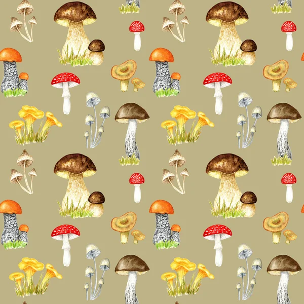Watercolor mushrooms seamless pattern. Hand Illustration for creating fabrics, wallpapers, gift wrapping paper, invitations, textile, scrapbooking