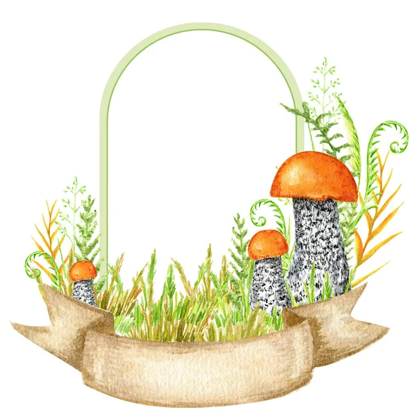 Boletus Mushrooms Watercolor Frame Big Mushroom Grass Spongy Mushroom Vegetarian — Stock Photo, Image