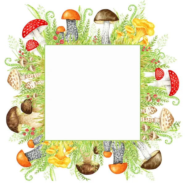 Mushrooms Watercolor Frame Big Mushroom Grass Spongy Mushroom Vegetarian Gourmet — Stockfoto