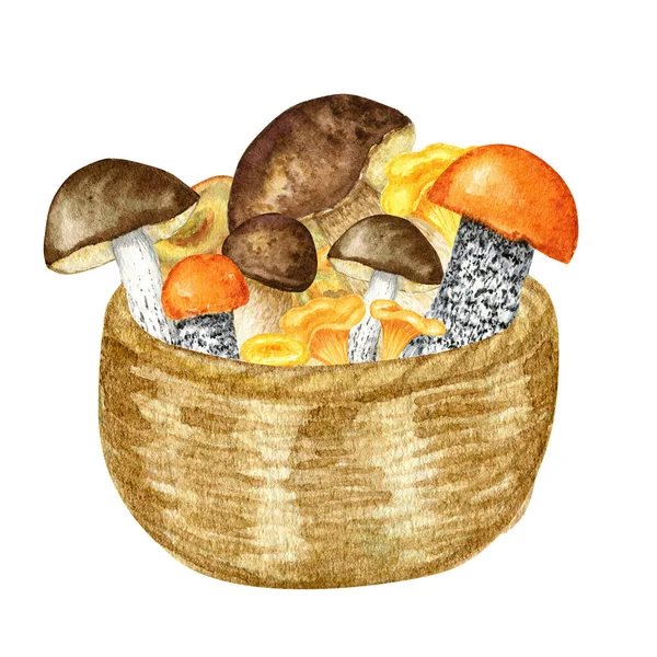 Wicker Basket Mushrooms Watercolor Hand Drawn Illustration Isolated White Background — Foto Stock