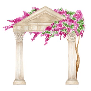 Watercolor antique arch column corinthian order with bright pink flowers, Ancient Classic Greek pillar, Roman Columns, Architecture facade elements drawing illustration isolated on white background.