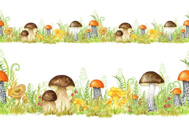 Boletus watercolor seamless border, mushroom with grass. Spongy mushroom, vegetarian gourmet cuisine, autumn mushrooms hand drawn illustration isolated on white background.