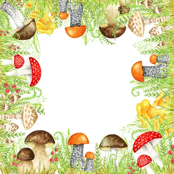 Mushrooms Watercolor Border Frame Big Mushroom Grass Spongy Mushroom Vegetarian — Stockfoto