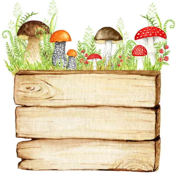 Pilze Aquarell Holztafel Rahmen Großer Pilz Mit Gras Schwammiger Pilz — Stockfoto