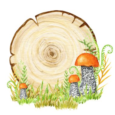 Boletus Mushrooms watercolor wooden signboard frame, mushroom with grass, wood banners, planks, board. Hand drawn isolated Illustration.