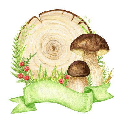 Boletus Mushrooms watercolor wooden signboard frame with ribbon banner, mushroom with grass, wood banners, planks, board. Hand drawn isolated Illustration.