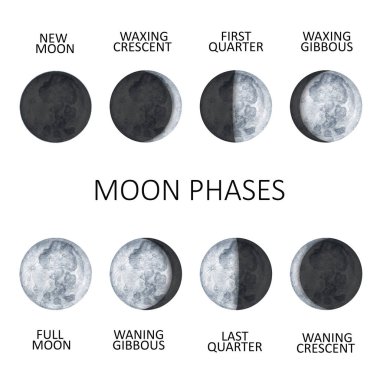 Moon phases on white background. Galaxy Hand drawn isolated watercolor illustration of cycle from new to full moon