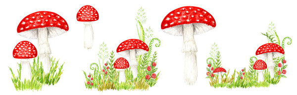 Amanita muscaria watercolor set, Fly agaric mushroom with grass. White spotted toxic red mushrooms. Hand drawn Illustration on white background