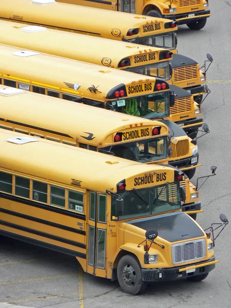 Школьные автобусы на парковке Стоковое Изображение
