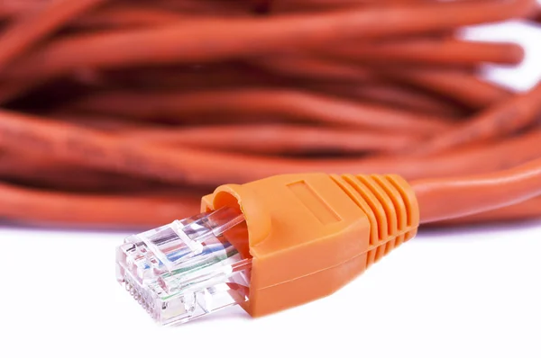 Câble réseau LAN — Photo