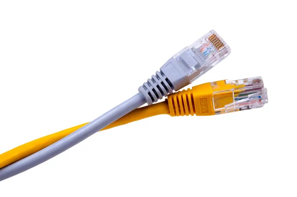 LAN network cables — Stock Image LAN network cables Stock Picture