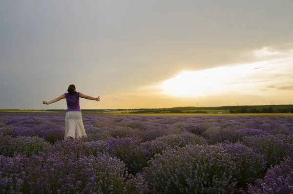 Meisje in een Lavendel veld — Stockfoto