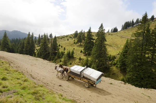 Horse cart in mountains — Stock Photo, Image