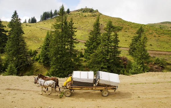 Häst vagn i bergen — Stockfoto