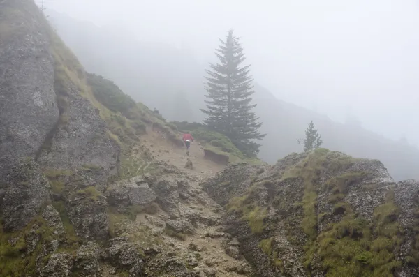 Trekking in fog, Carpathian Mountains, Romania — Stock Photo, Image