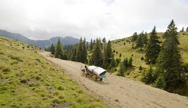 Paard kar in Bergen — Stockfoto