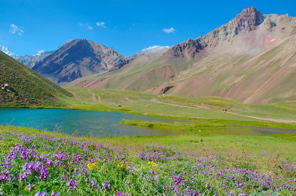 Horcones lake in de aconcagua vallei — Stockfoto