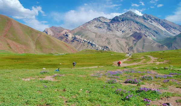 Horcones Valley, Aconcagua National Park — Stock Photo, Image