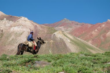yürüyüşçüler için aconcagua yola