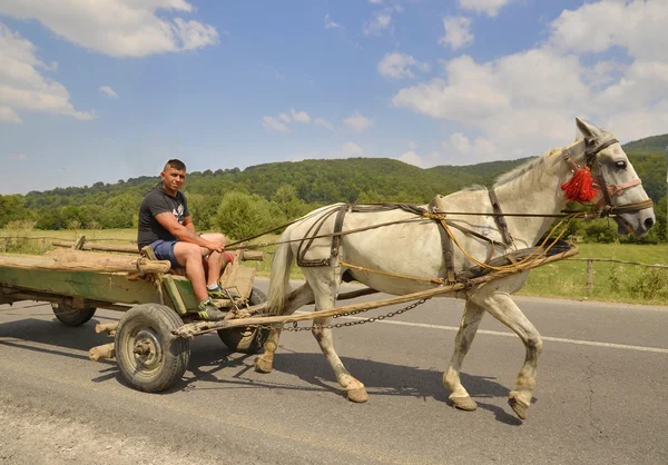 Farmer riding a cart — Stock Photo, Image