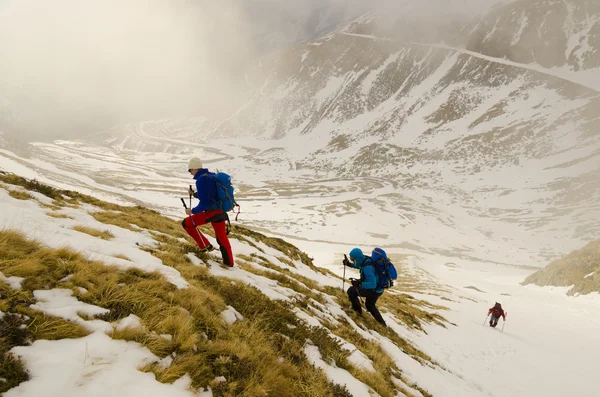 Rocky mountains — Stock Photo, Image