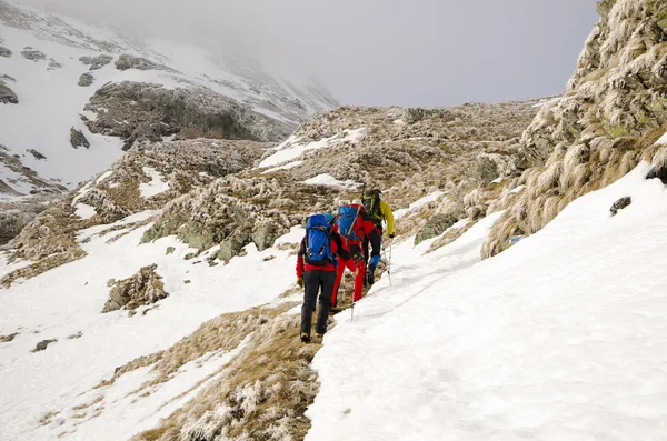 ロッキー山脈でのハイキング — ストック写真